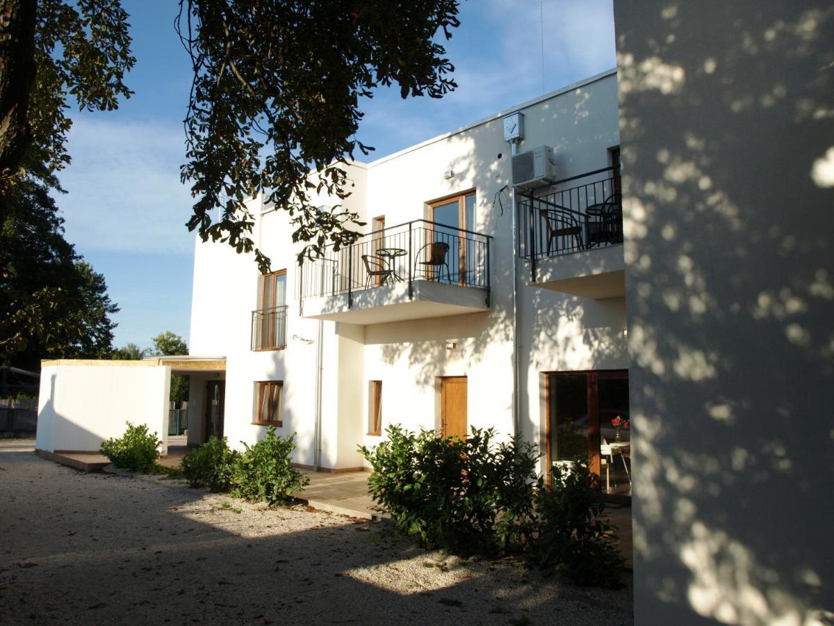 Garden Club Panzio Bed & Breakfast Balatonmariafurdo Ngoại thất bức ảnh